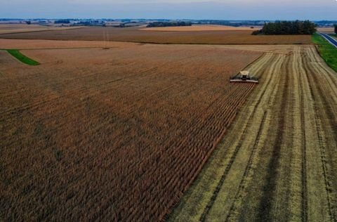 Mähring Bauernhöfe, Landwirtschaft, Mähring Forstwirtschaft