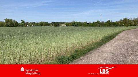 Schermen Bauernhöfe, Landwirtschaft, Schermen Forstwirtschaft