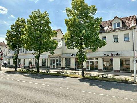 Senftenberg Häuser, Senftenberg Haus kaufen