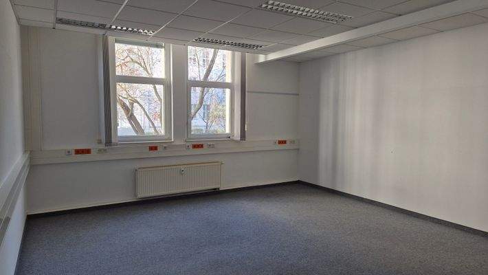 Einzel- oder Doppelbüro