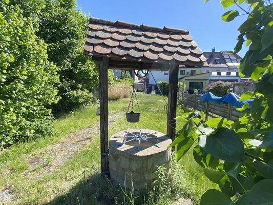 20-Blick in den Garten.JPG