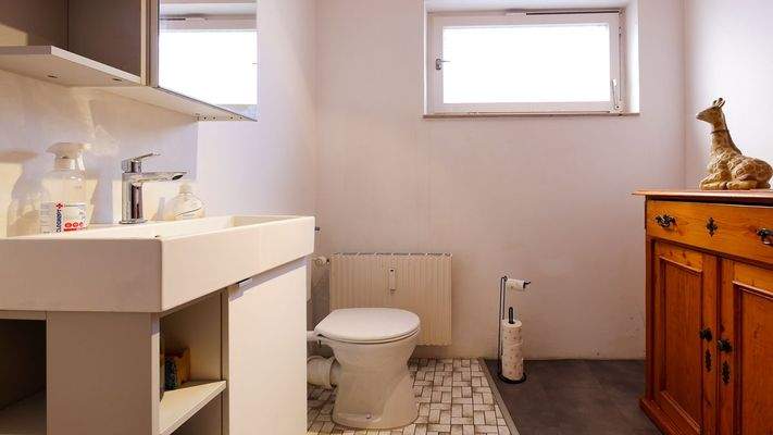 185 Tageslichtbad mit Dusche und WC (1 von 1).jpg