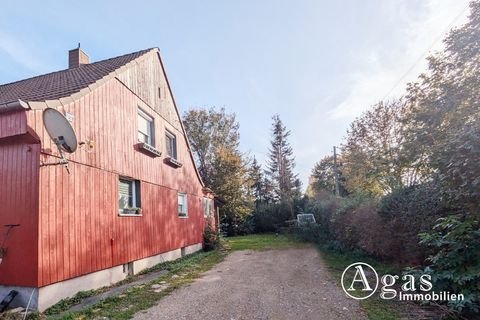 Zechin Häuser, Zechin Haus kaufen