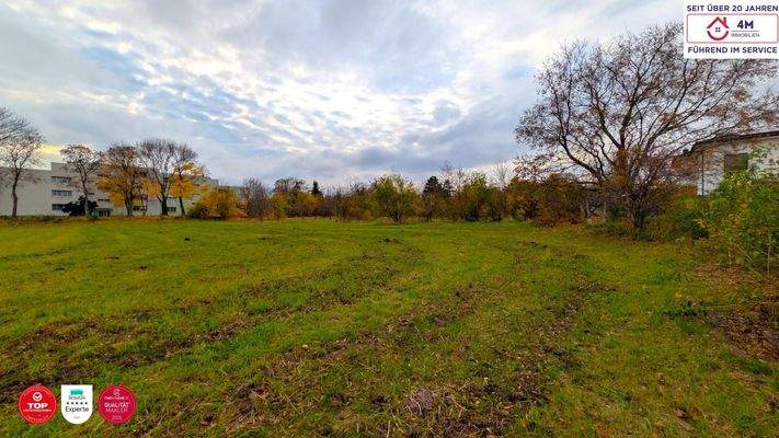 Grundstück vorne Links