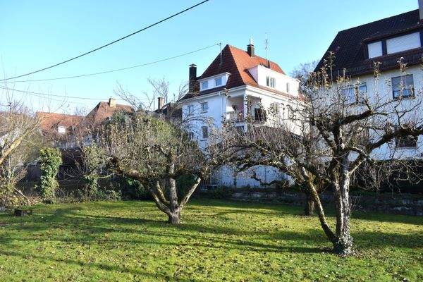 gemeinschaftlicher Garten - Winterbild