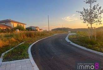 Abendstimmung am Naslangfeld