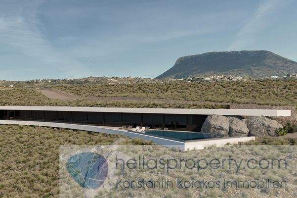 Project New Cave Style luxury Villa (4)