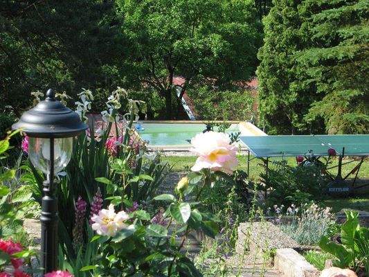 Blick auf Erfrischungspool