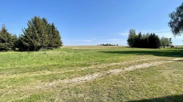 Blick zum hinteren Grundstück