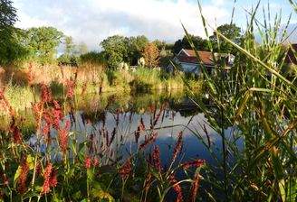 Biotop beim Gallushaus
