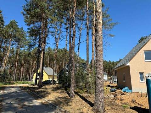 Borkwalde Grundstücke, Borkwalde Grundstück kaufen