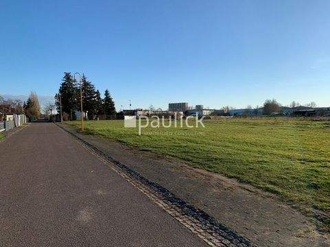 Markranstädt / Altranstädt Bauernhöfe, Landwirtschaft, Markranstädt / Altranstädt Forstwirtschaft