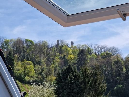 Schlossblick