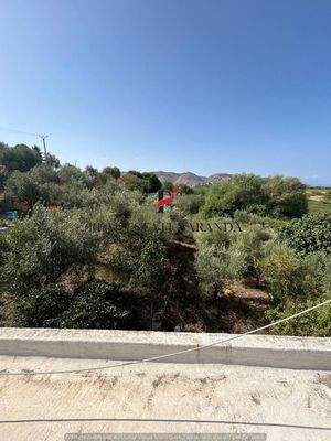 WhatsApp Image 2024-09-06 at 13.20.59 (38).jpeg