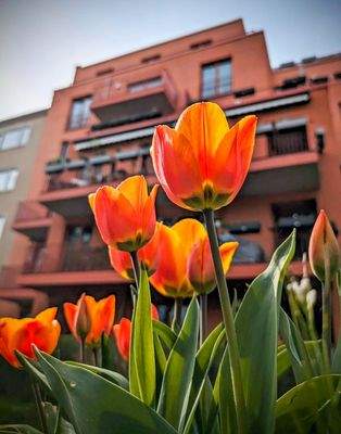 Toll gepflegter Garten