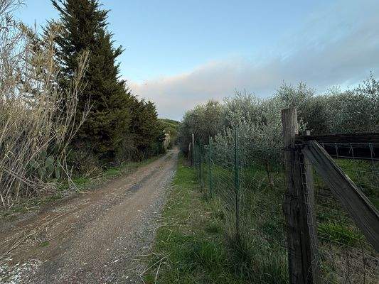 Zufahrt-Grundstück-4001-06