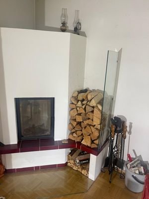 Kamin im Wohnzimmer mit Edelstahl Außenkamin