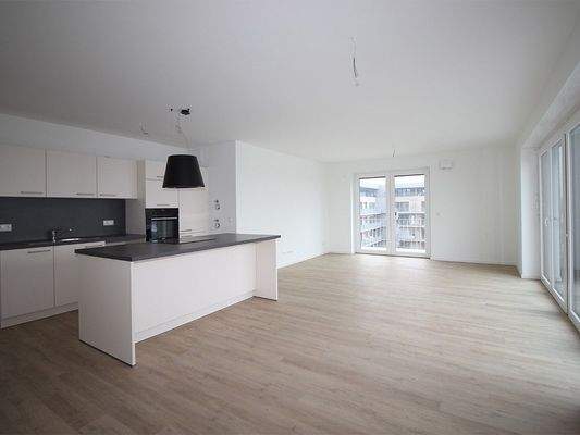 Offener Wohnbereich mit Einbauküche 
