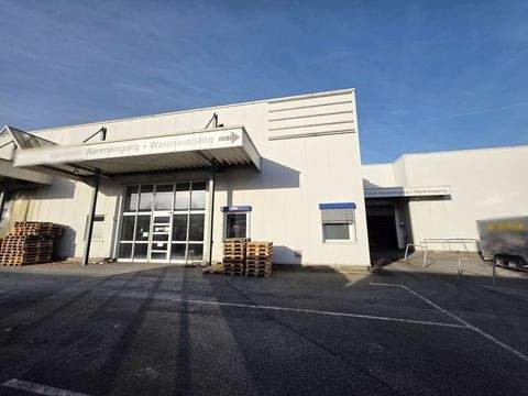 Gütersloh Halle, Gütersloh Hallenfläche