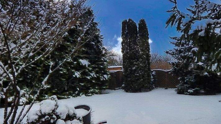 nicht einsehbarer Garten