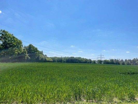 Blick über die Felder von Balkon _EG  ETW Waldhufe