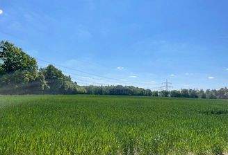 Blick über die Felder von Balkon _EG  ETW Waldhufe