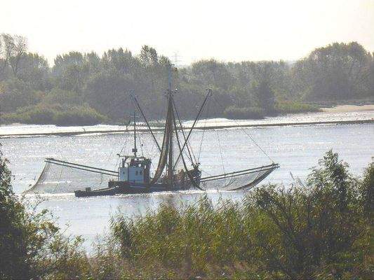 Fischkutter / Weser