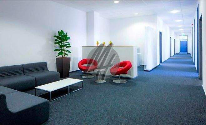 INFOS UNTER: 06171-586000