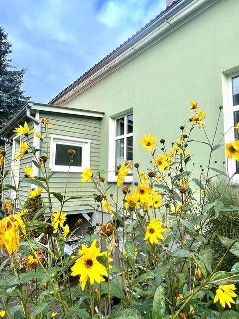 Ueckermünde Häuser, Ueckermünde Haus kaufen