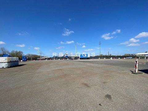 Rieste Halle, Rieste Hallenfläche