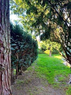 zweiter Zugang Garten