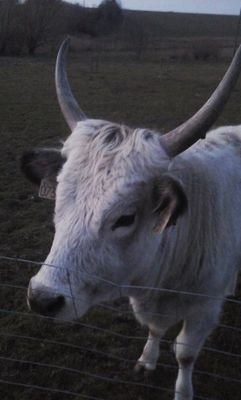 20150308_175957.jpg