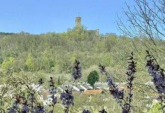 Burgblick auf allen Etage
