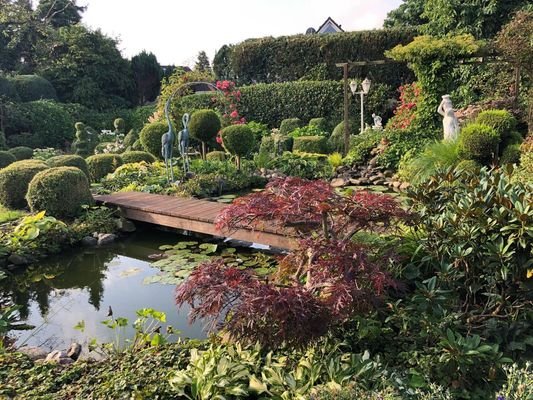 Gartenblick mit Koi-Teich