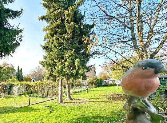 Hinterer Gartenbereich