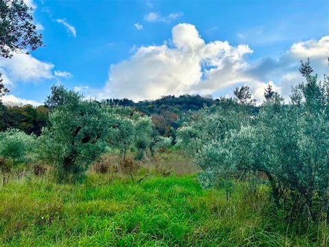 Massa Marittima Grundstücke, Massa Marittima Grundstück kaufen