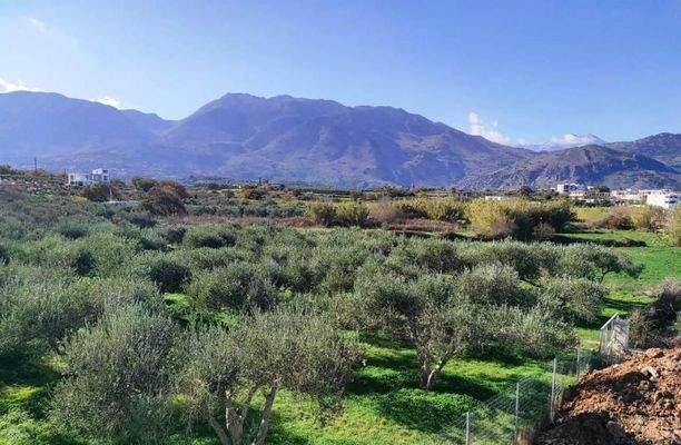 Kreta, Dramia: Einfamilienhaus mit Meerblick und Pool zu verkaufen
