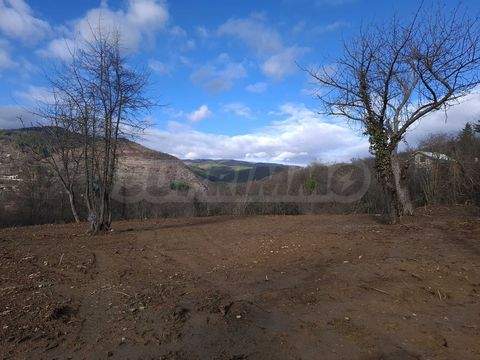 Eleshnitsa Industrieflächen, Lagerflächen, Produktionshalle, Serviceflächen