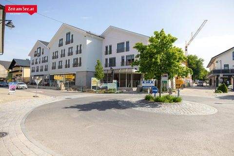 Sankt Georgen im Attergau Büros, Büroräume, Büroflächen 