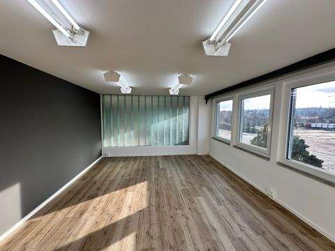 Glauchau Halle, Glauchau Hallenfläche