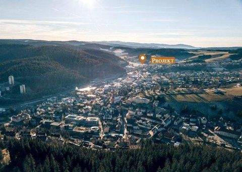 Furtwangen im Schwarzwald Wohnungen, Furtwangen im Schwarzwald Wohnung kaufen