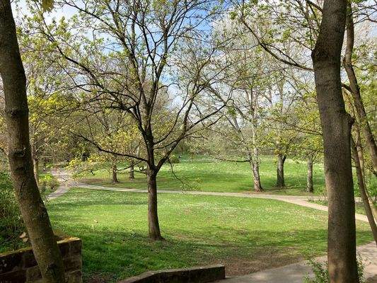 Stadtpark gleich um die Ecke...