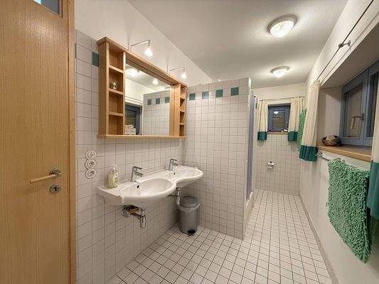 Badezimmer mit gr. Dusche, WC, Doppelwaschbecken