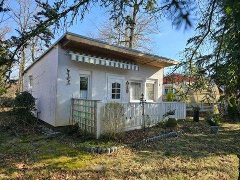 Muldestausee Häuser, Muldestausee Haus kaufen