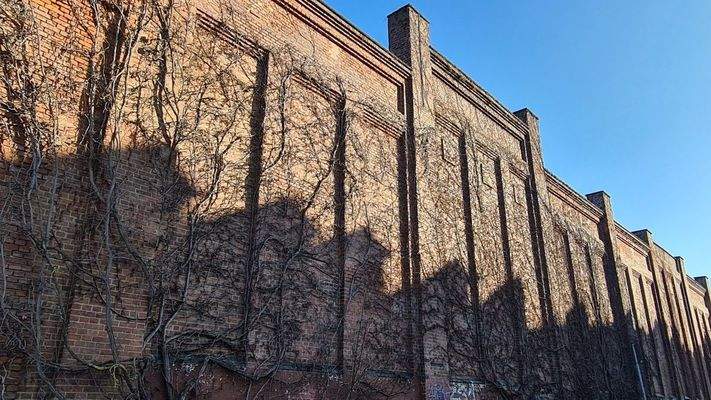 Außenfotos Gelände