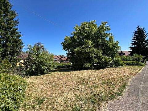 Backnang Häuser, Backnang Haus kaufen