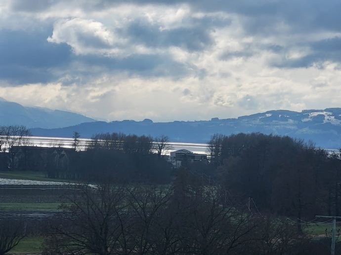 Neuwertige, moderne, großzügige 3,5 Zi. Whg. mit See- und Bergsicht in Kressbronn!!