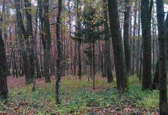 PHOTO-2024-06-04-08-38-32