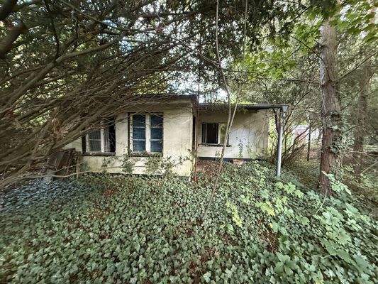 Blick zum zweiten Flurstück, Ansicht2