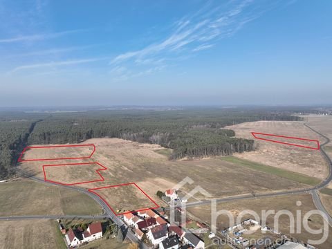 Ralbitz-Rosenthal Bauernhöfe, Landwirtschaft, Ralbitz-Rosenthal Forstwirtschaft